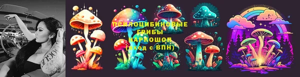 мдпв Армянск