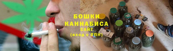 ПСИЛОЦИБИНОВЫЕ ГРИБЫ Арсеньев
