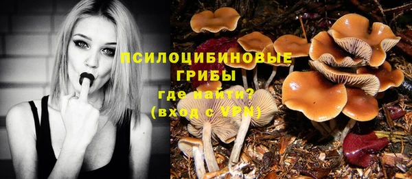 ПСИЛОЦИБИНОВЫЕ ГРИБЫ Арсеньев