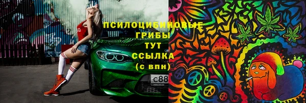 ПСИЛОЦИБИНОВЫЕ ГРИБЫ Арсеньев