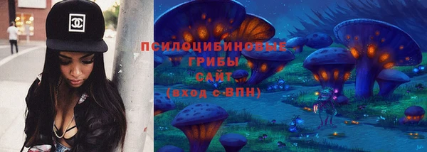 ПСИЛОЦИБИНОВЫЕ ГРИБЫ Арсеньев